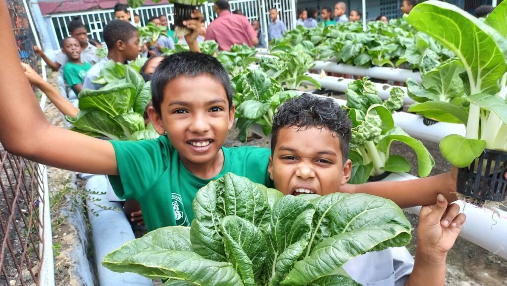 The initiative was launched on April 16 to supplement what was taught in the classroom, and to give students hands-on experience in planting and nurturing crops. - 