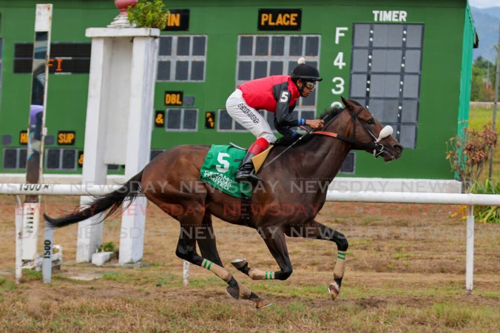 Hello World, ridden by Brian Boodramsingh, finishes first in the Arima Race Club Dixee Crackers  Champagne Stakes in March at the Santa Rosa Park in Arima. - File photo by Daniel Prentice