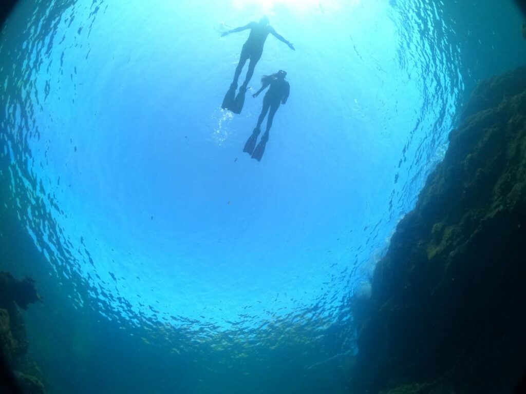 Snorkelling rocky reefs around Rocky Point, Mt Irvine. - Photo by Anjani Ganase