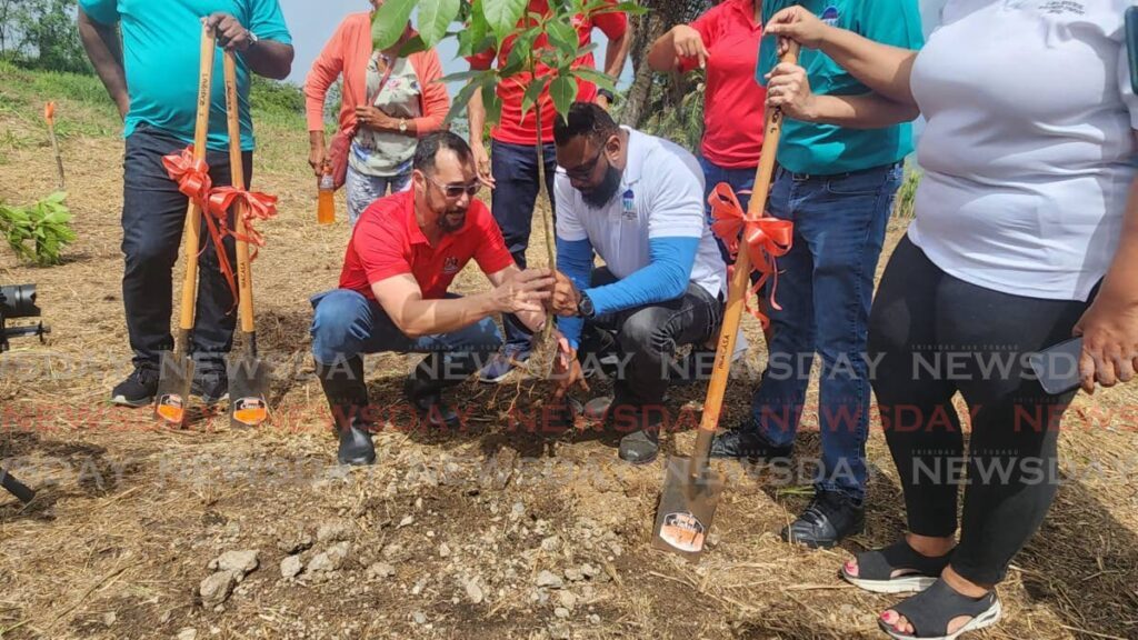 Energy Minister Stuart Young, left, and NGC chairman Dr Joseph Ishmael Khan plant a pink poui tree during the La Brea Industrial Development Co Ltd’s Plant for a Purpose initiative at the La Brea Industrial Estate on June 15. - Photo by Yvonne Webb