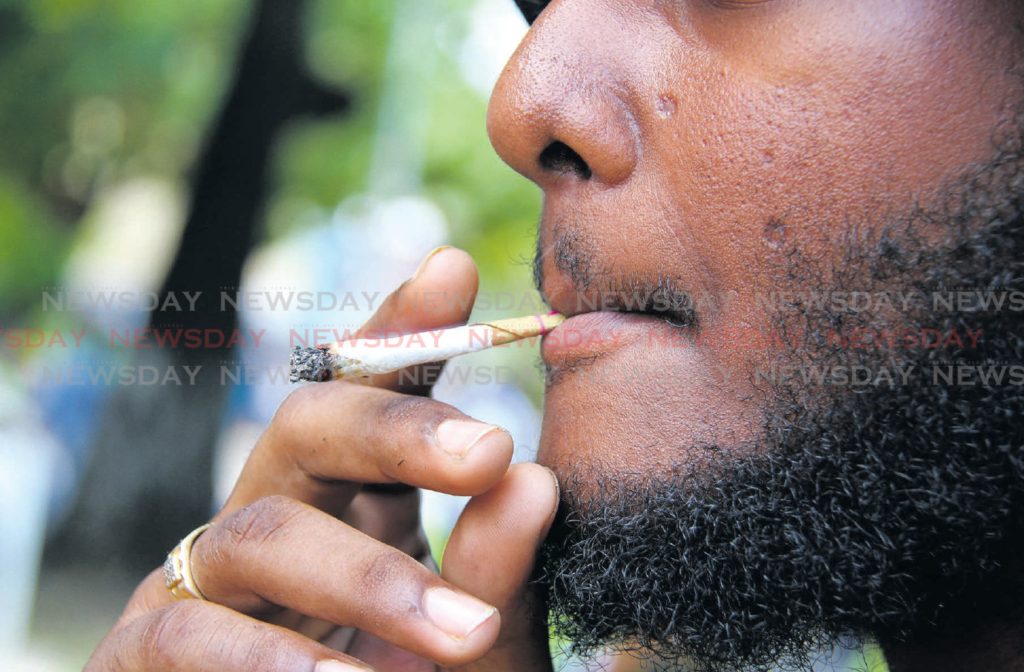 A man smokes weed openly as he joins the call to legalising the use of marijuana during the All Mansions of
Rastafari’s Cannabis Rally at Woodford Square in Port of Sapin wihich attracted hundreds of people.
PHOTO SUREASH CHOLAI