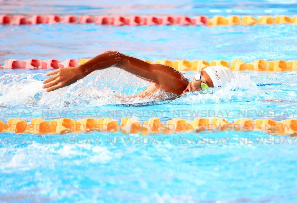 Marlins’ Liam Carrington won gold in the 15-17 boys’ 400m freestyle in 3.58.27. - Newsday File Photo/Lincoln Holder