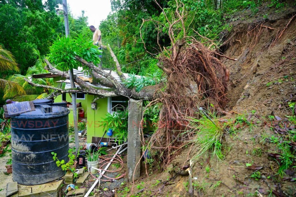 A tree came crashing down on a house in Les Coteaux on July 1. - Photo courtesy Visual Styles