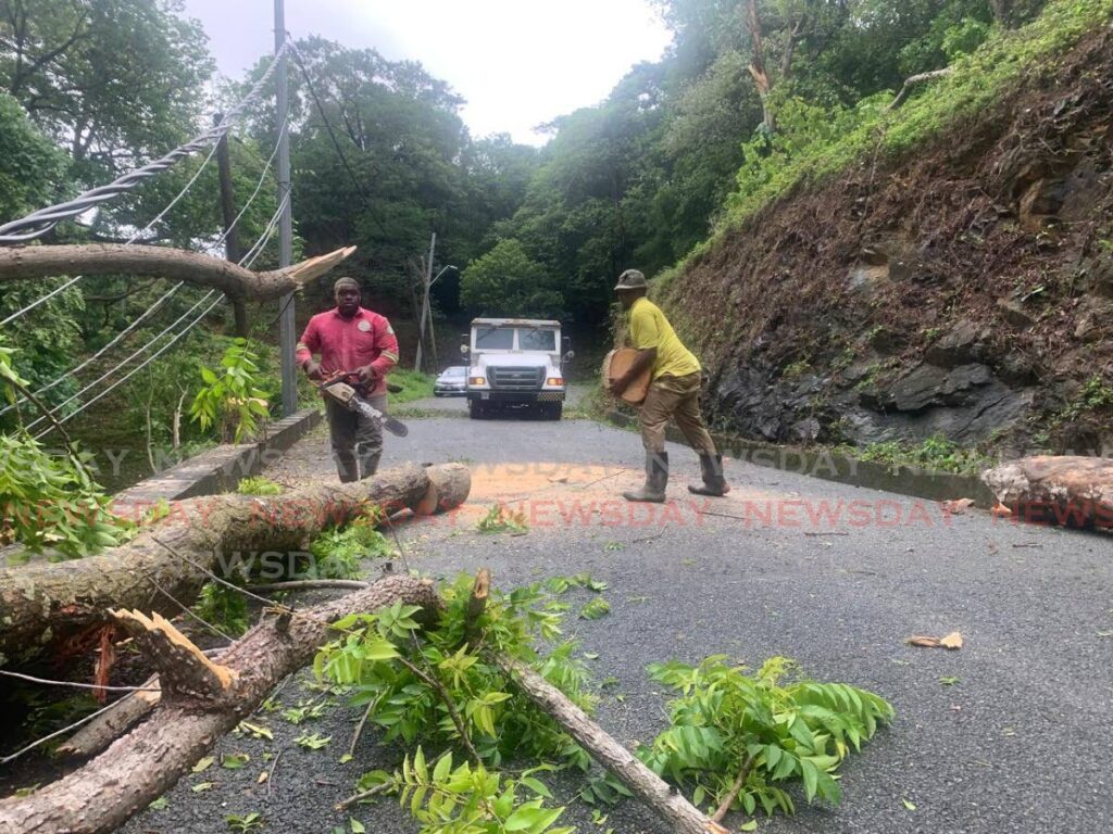 THA workers Darrien Duncan, left, and Winston Amoroso busy clearing away fallen trees from the Charlotteville Road in Tobago on July 1 after the passage of Hurricane Beryl.