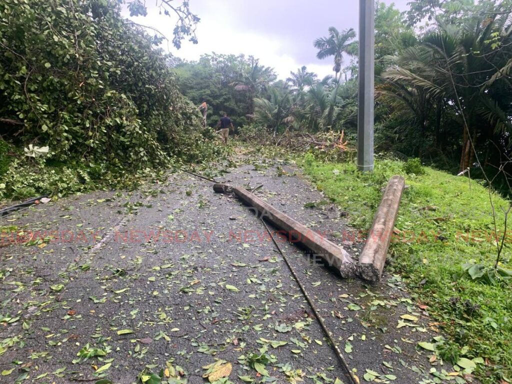 Power lines and a tree on the L'Anse Fourmi/Charlotteville link road in Tobago after the passage of hurricane Beryl on July 1. - Photo by Darren Bahaw