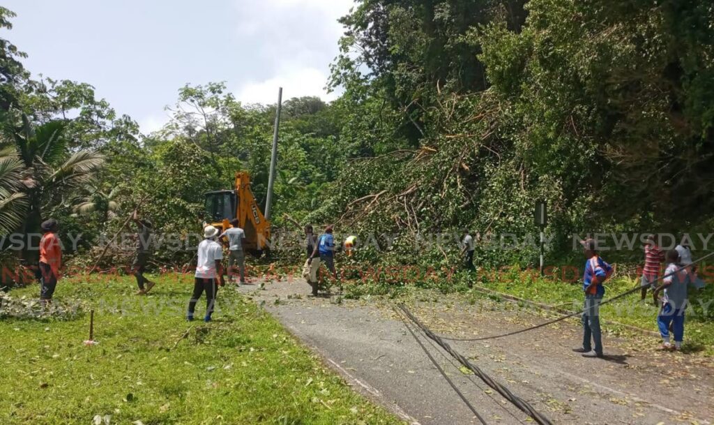 Employees from the Division of Infrastructure, Quarries and Urban Development attempt to clear part of the L'Anse Fourmi/Charlotteville Link Road which became impassable after trees and concrete utility poles fell unto the roadway during Hurricane Beryl's passage on July 1. - Photo by Corey Connelly