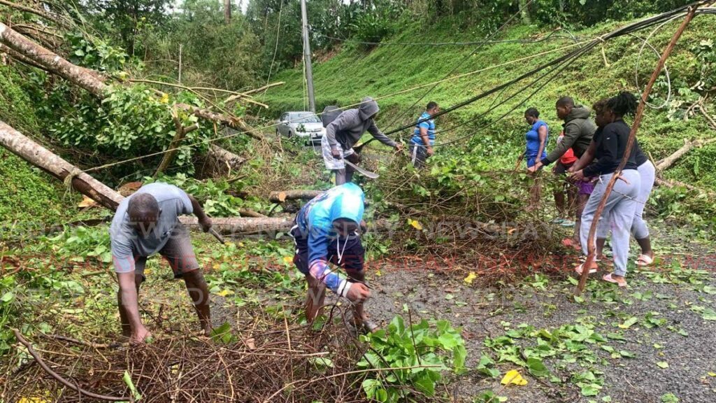 Bloody Bay residents were also involved in the clean-up exercise to remove fallen trees after Hurricane Beryl affected Tobago on July 1. - File photo