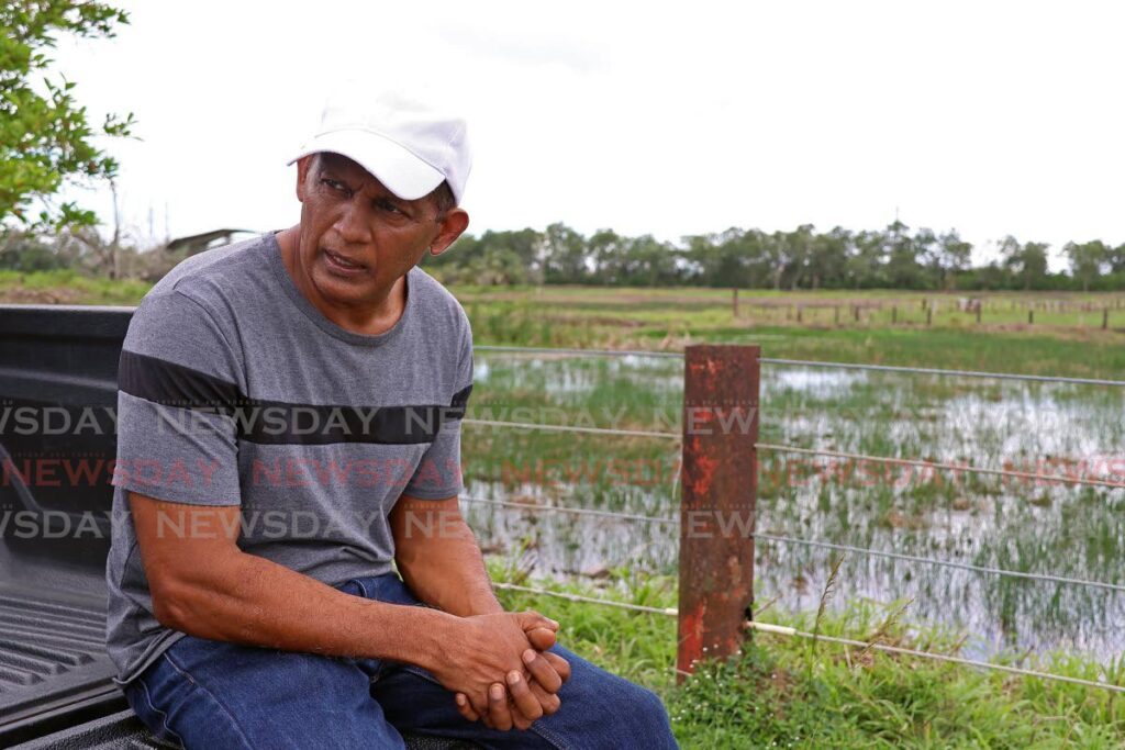 Activist Edward Moodie wants to reintroduce cascadura into Woodland to combat the area’s mosquito problem.  - Photo by Venessa Mohammed