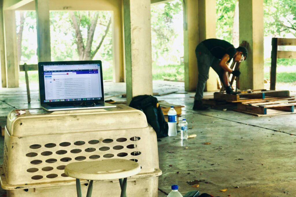 Elspeth Duncan's laptop perched on a crate as Ched is busy in background constructing a dog's healing space. - Photo courtesy Elspeth Duncan