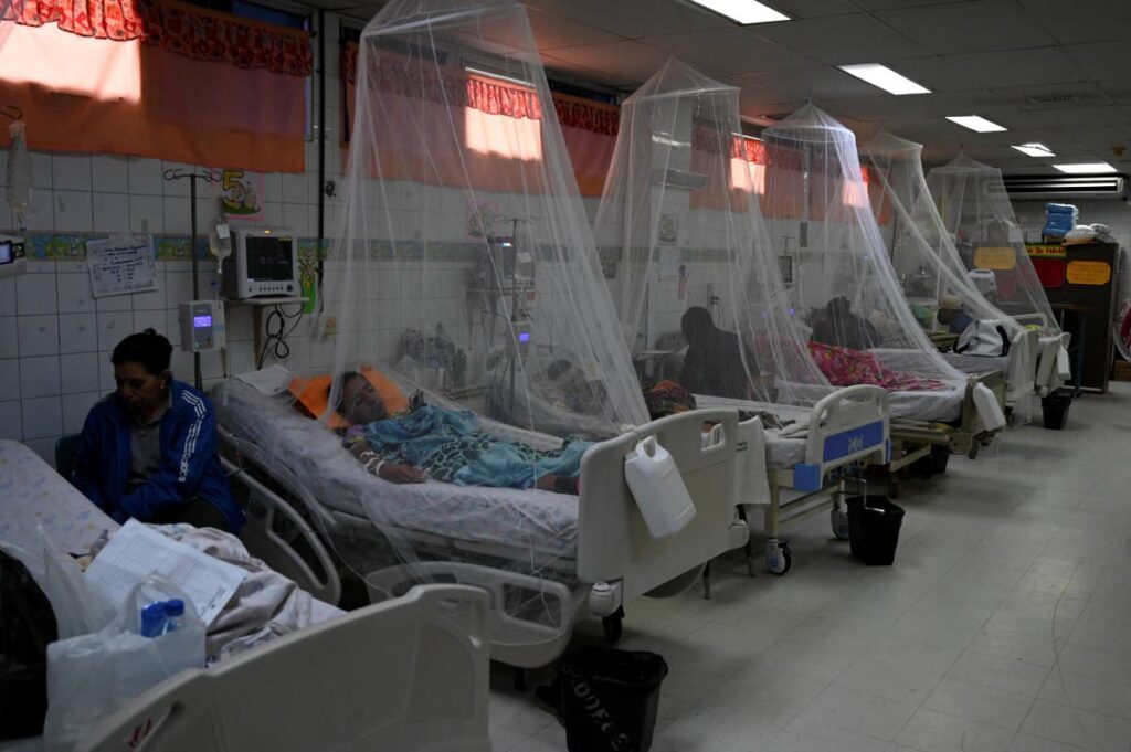 Dengue fever patients under mosquito nets at the Hospital Escuela Universitario on July 12 in Tegucigalpa, Guatemala. - AFP PHOTO