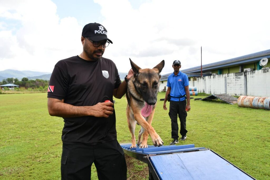 Canine police puppy trainer Cpl Neil Samaroo, Hulk and PC Francis Perreira on the obstacle course in Cumuto. - Photo by PC Stephan Llewellyn