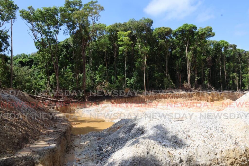 The effects of quarrying near a protected forest reserve at Orosco Road, Matura.  - Roger Jacob