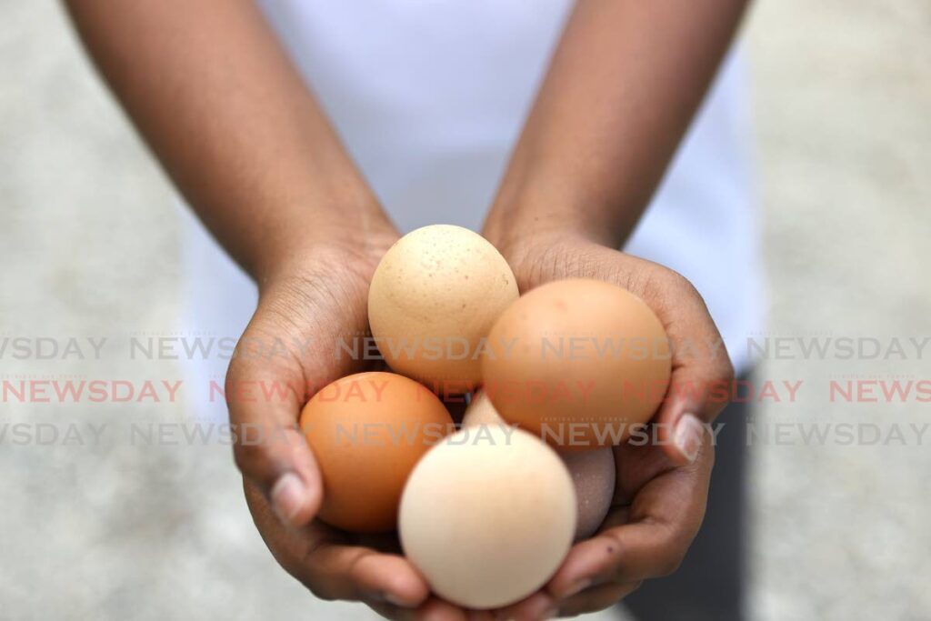 Lina Emily Chance-Bhagwat shows KIDS a sample of her free range eggs.