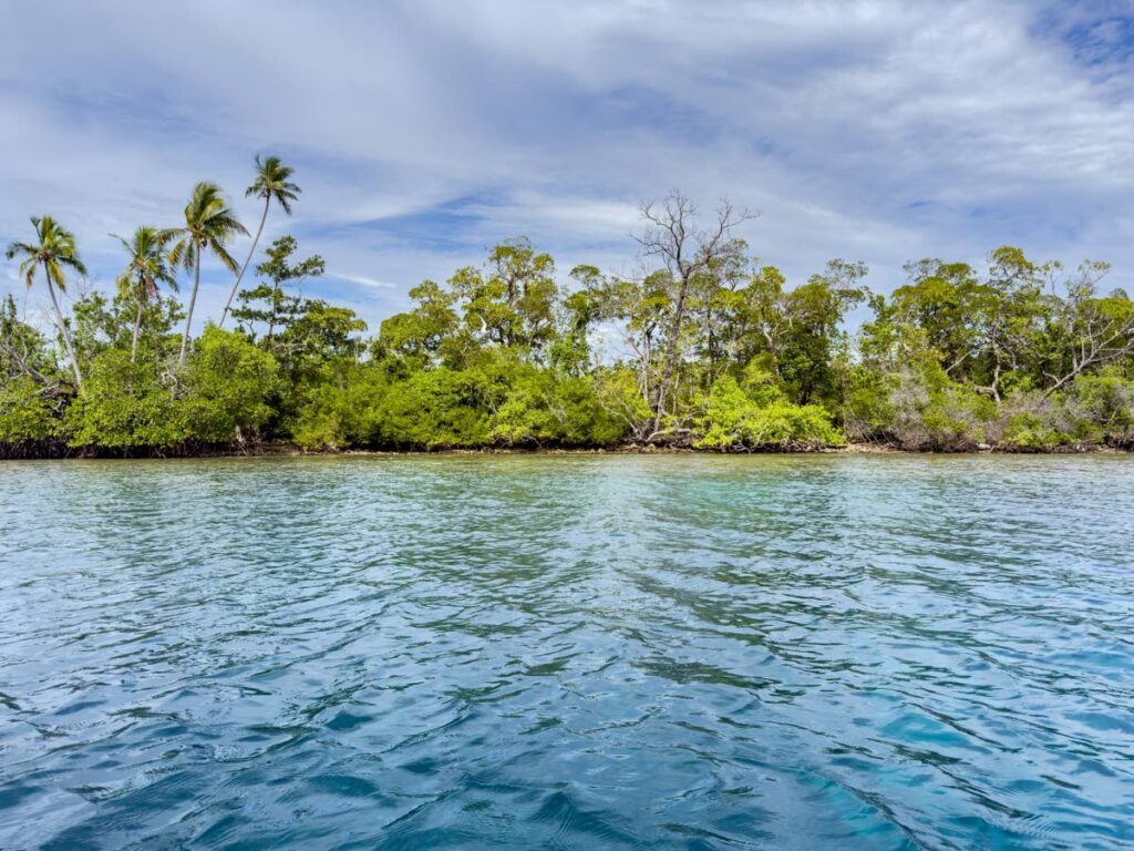 Many islands in the Solomons are uninhabited but may support important mangrove ecosystems.  - 