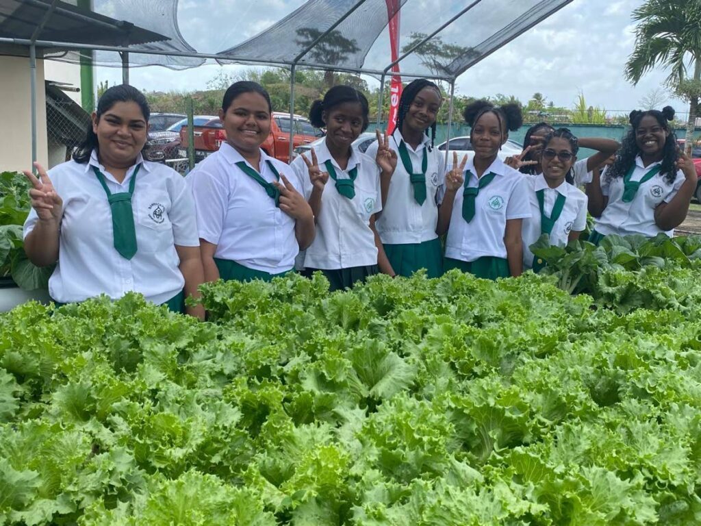 Students of ASJA Girls’ College, Barrackpore, are proud of their lettuce crop from their sustainable harvest programme which utilised the hydroponics system. - 