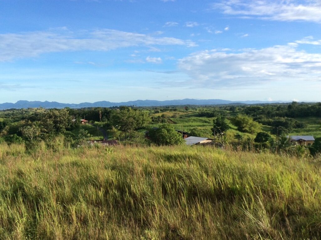 View from Ajoupa looking towards the Northern Range. - Photo courtesy Bunty O’Connor