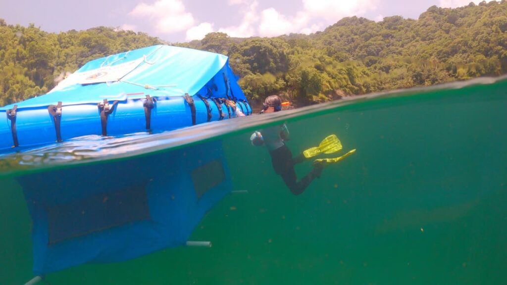 The tented floating crib is a nursery for coral babies and must be monitored daily. - Photos by Anjani Ganase 