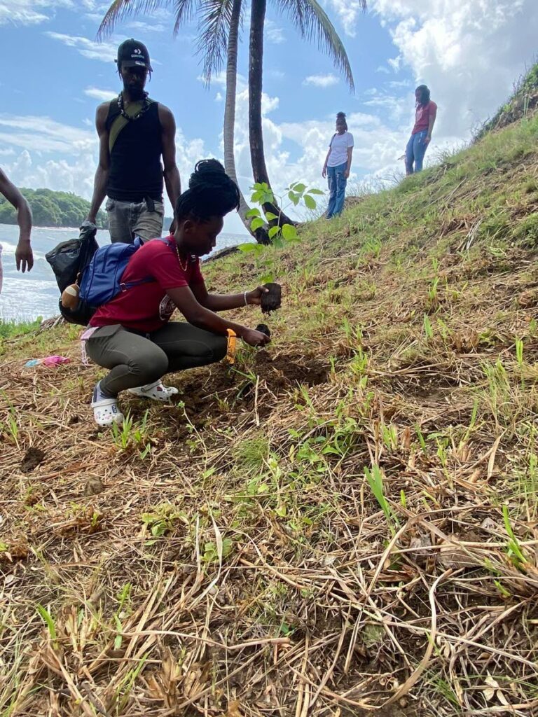 PLANT A TREE:  A student plants a tree in Richmond, Tobago on the weekend as part of the Central Bank’s 60th anniversary observances. - Photo courtesy Central Bank