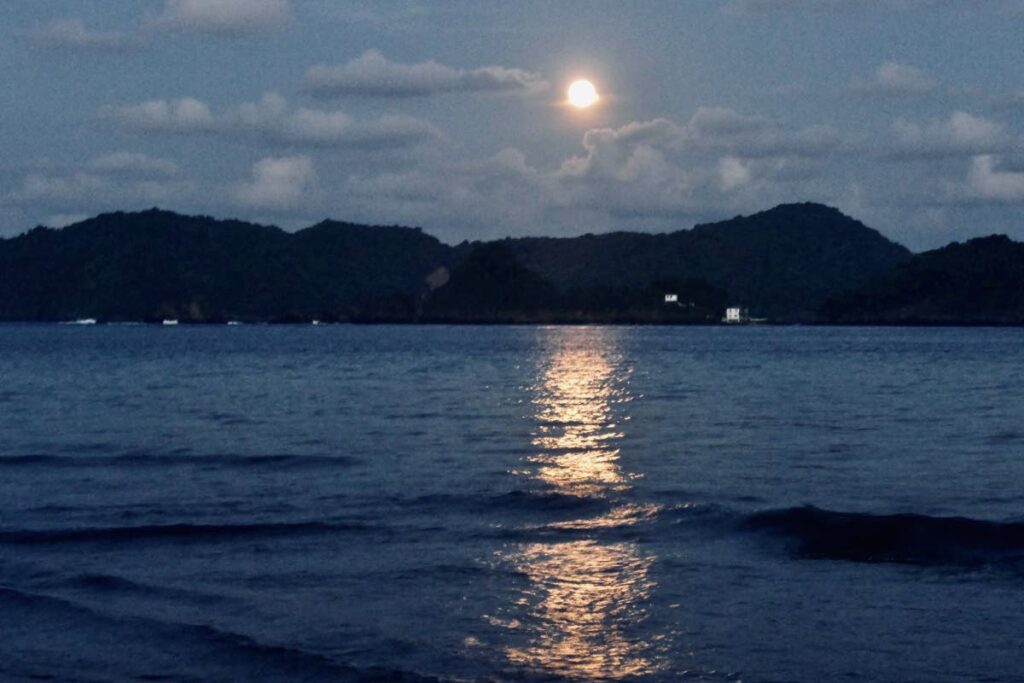 Full moon over Goat Island, Tobago. - Elspeth Duncan