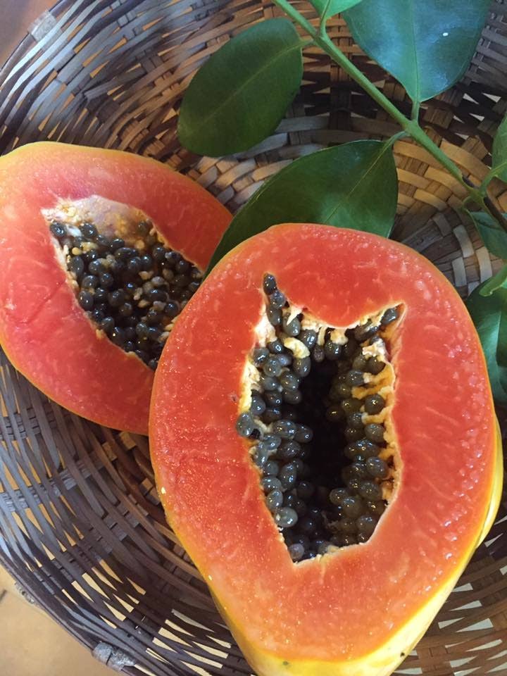 Papaya high in nutrients such as vitamin C, folate, vitamin A, magnesium, fibre and antioxidants. It has high anti-inflammatory properties, and can also benefit cardiovascular health, eye health, hair and bone health.  - Wendy Rahamut