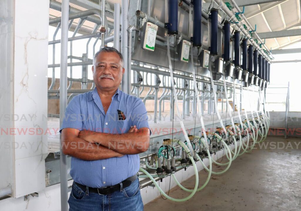 Lincoln Thackorie stands in front of a cattle stanchion (milking station) at the new milking parlour at the Aripo Livestock Station. - Photo by Faith Ayoung