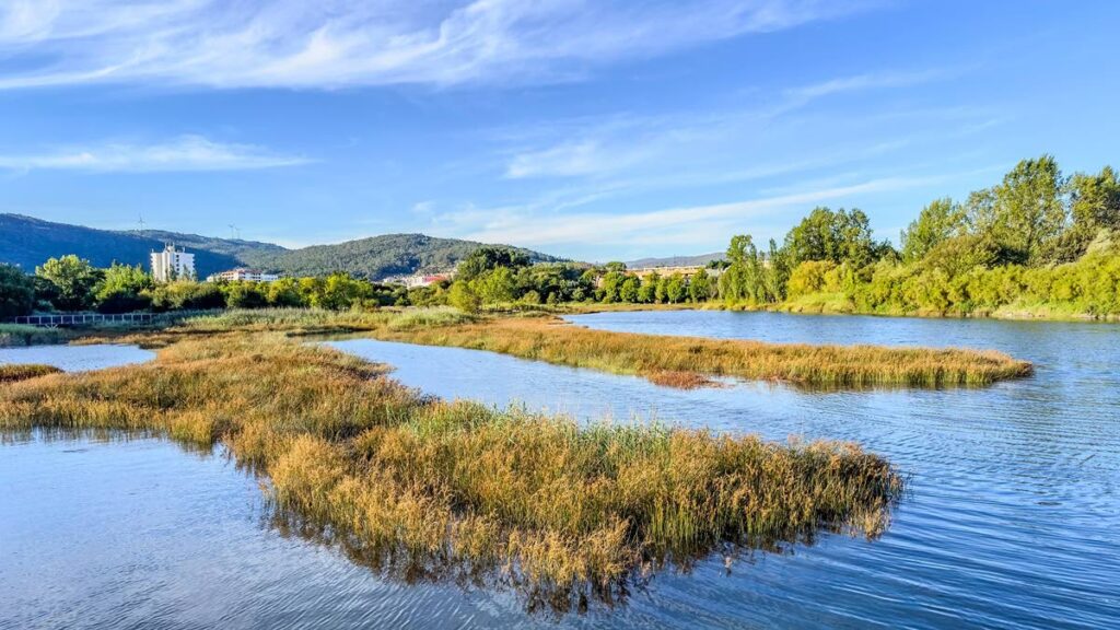 Eco Park Viana do Castelo is part of an important wetland habitat and biodiversity hotspot near the town centre of Viana do Castelo in Portugal. - Joanne Husain