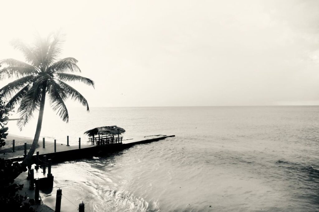 A touristy view from the bar at Tropikist Hotel, in Tobago. - Elspeth Duncan