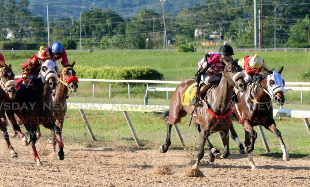 The penultimate day of the 2024 racing season, will be contested at Santa Rosa Park, Arima on November 30. - File photo