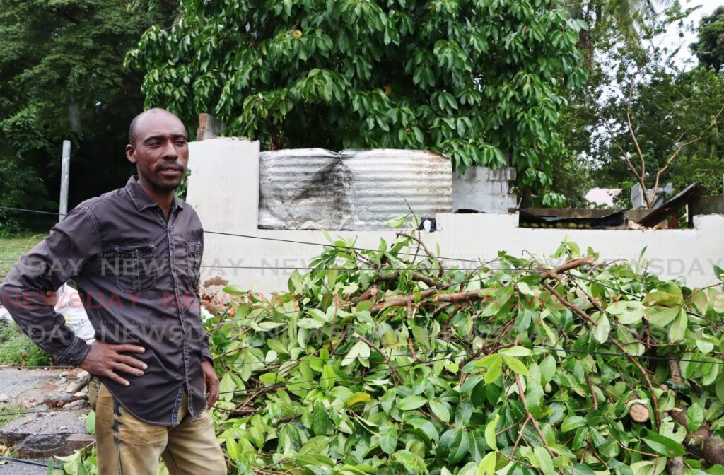 LUCKY ESCAPE: Fruit vendor Roger Richardson near the pommerac tree which fell on his fruit stall in Curepe during heavy showers on Tuesday. PHOTO BY AYANNA KINSALE  - Ayanna Kinsale