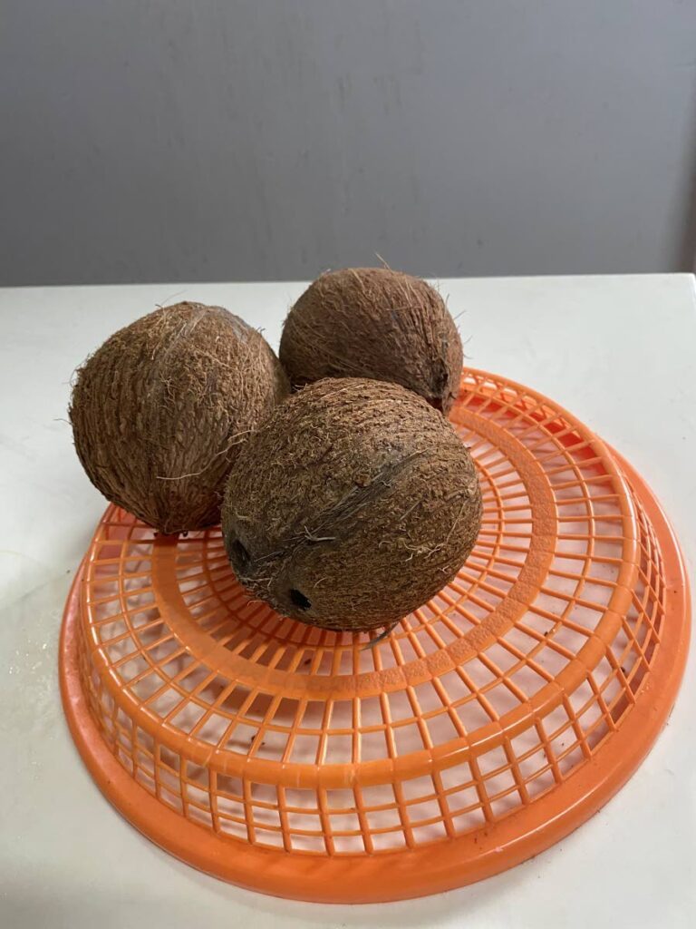 Dehusked dried coconuts. - 