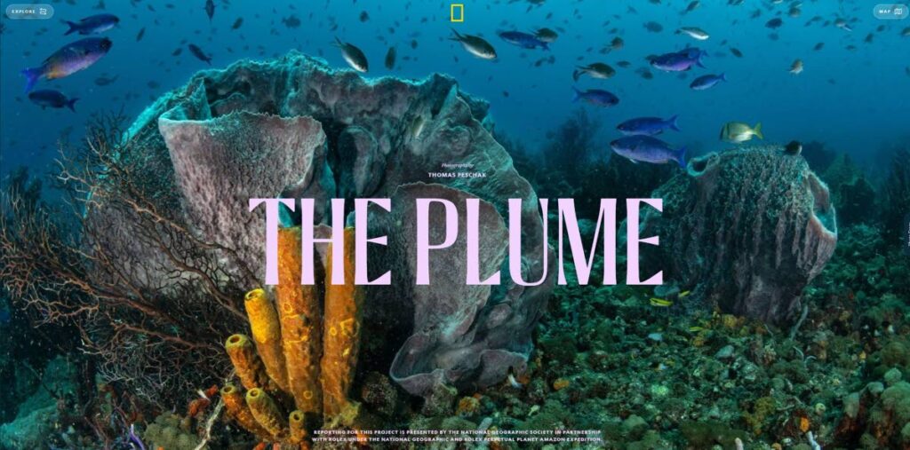 The Plume is a special online photo essay showcasing Tobago by National Geographic explorer and photographer Thomas Peschak. - 