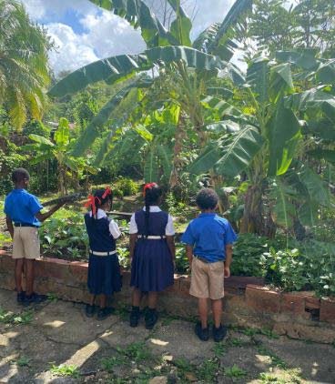 Students of Brasso RC Primary in central Trinidad admire their kitchen garden. - Photos courtesy Brasso Seco RC School