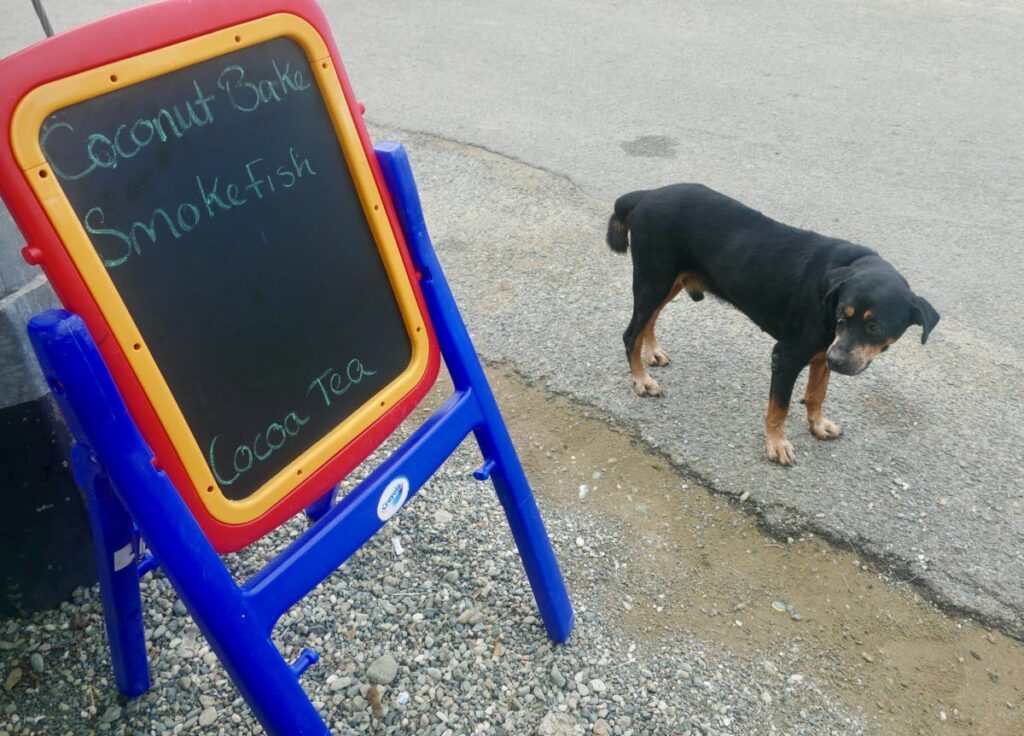 A Charlotteville street dog observes Miss Riba's Saturday morning menu. - Photo courtesy Elspeth Duncan