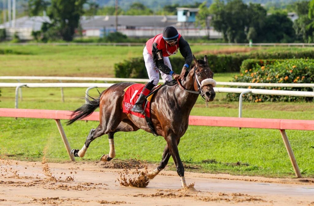 Hello World, ridden by Dillon Khelawan, cruises to the finish during the Carib Independence Cup race at Santa Rosa Park, Arima on August 31. PHOTO BY DANIEL PRENTICE - Daniel Prentice