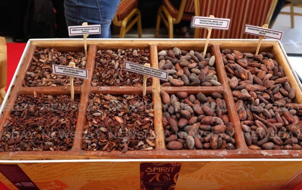 Stages of the cocoa seed process on display at the cocoa expo - Photo by Faith Ayoung