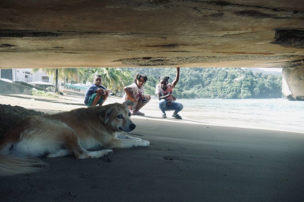 Three children from Charlotteville, Tobago, who will appear in the film, seek out one of the village dogs taking a rest under the jetty.  - Photo courtesy Elspeth Duncan