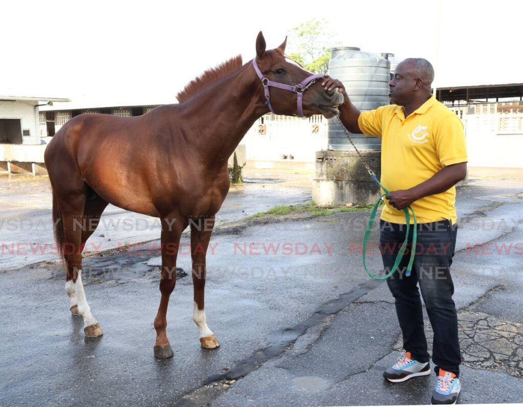 Horse owner Dwight Hunte with El Paso at the paddocks at the Santa Rosa Race Track in Carapo, Arima on December 18. - Photo by Faith Ayoung