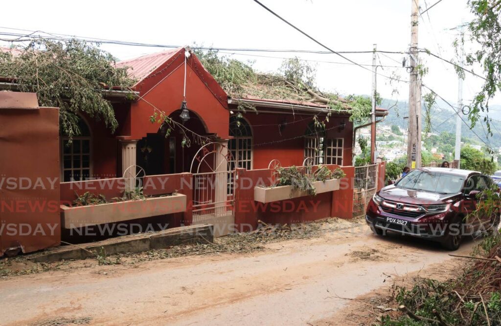 Most of a fallen tree has been removed from the roof and smaller  branches left behind at a house on Fort George Road, St James on December 27. A landslide had caused the large tree to fall on the house the day before. - Photo by Faith Ayoung