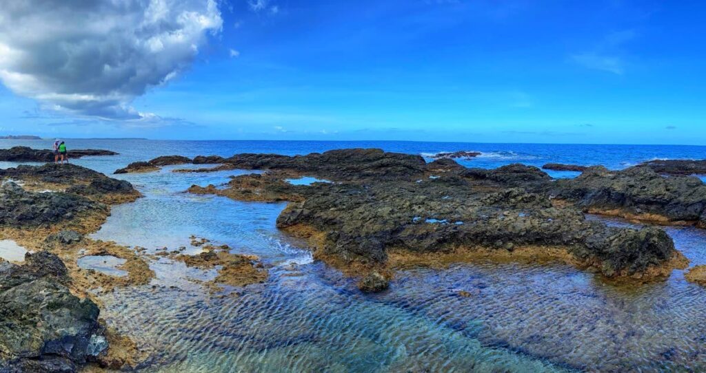 My favourite shore for exploring tide pools by snorkel is at Rocky Point, Mt Irvine - Photos courtesy Anjani Ganase