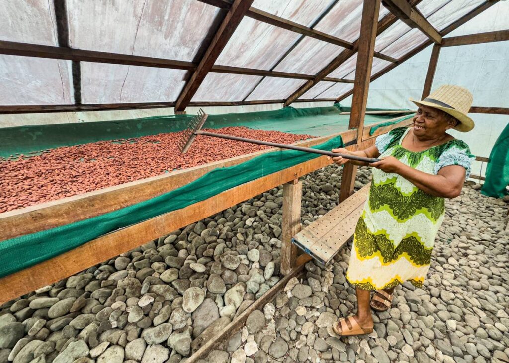 Turning cocoa beans to ensure a thorough drying process. - Photos by Joanne Husain