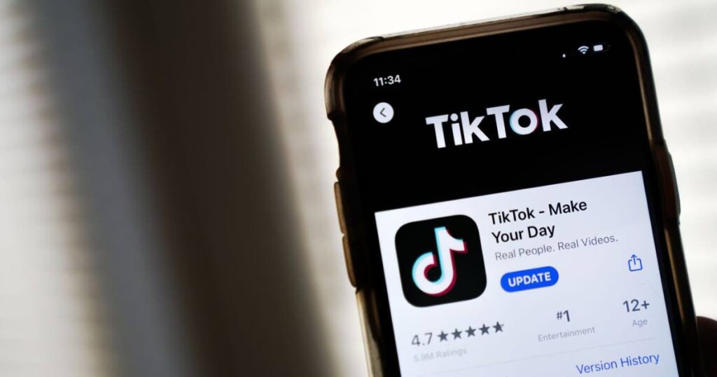 TikTok ban: The implications for Caribbean businesses and content creators. - 