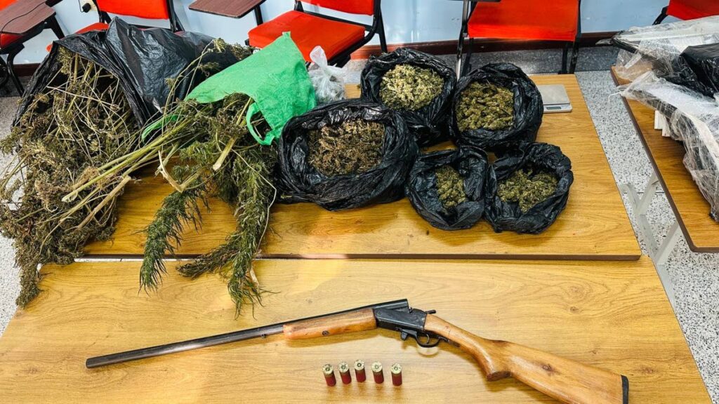 Marijuana, a shotgun and ammunition seized by police.  -  Photo courtesy the TTPS