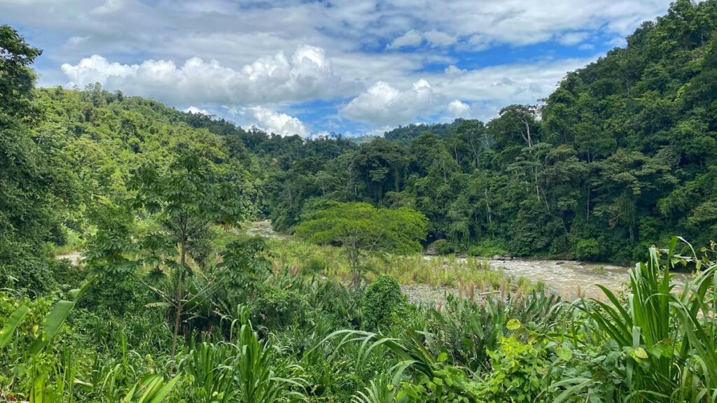 A view of the Pacuare River that borders the property. - Photos by Faraaz Abdool