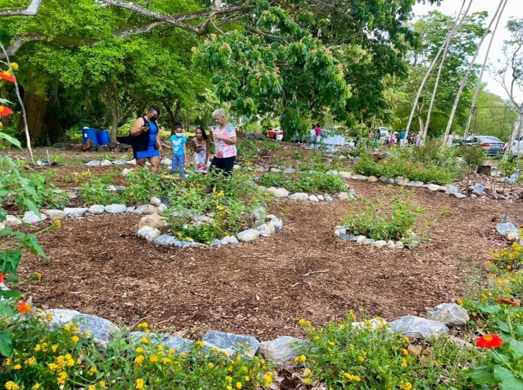 The Garden With Wings, the butterfly garden at the Royal Botanic Gardens, in its early stages in May 2022 . -  Photo courtesy Serina Allison Hearn