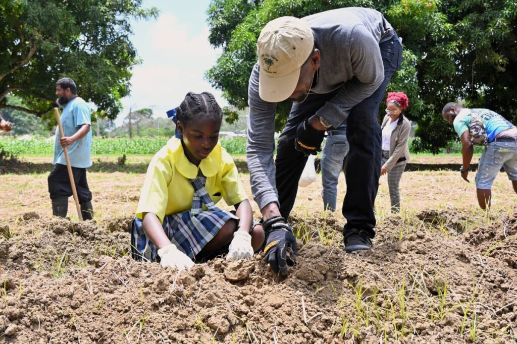 Yams are planted at the Goldsborough Demonstration and Training Centre, Tobago, on March 19. - Photo courtesy THA